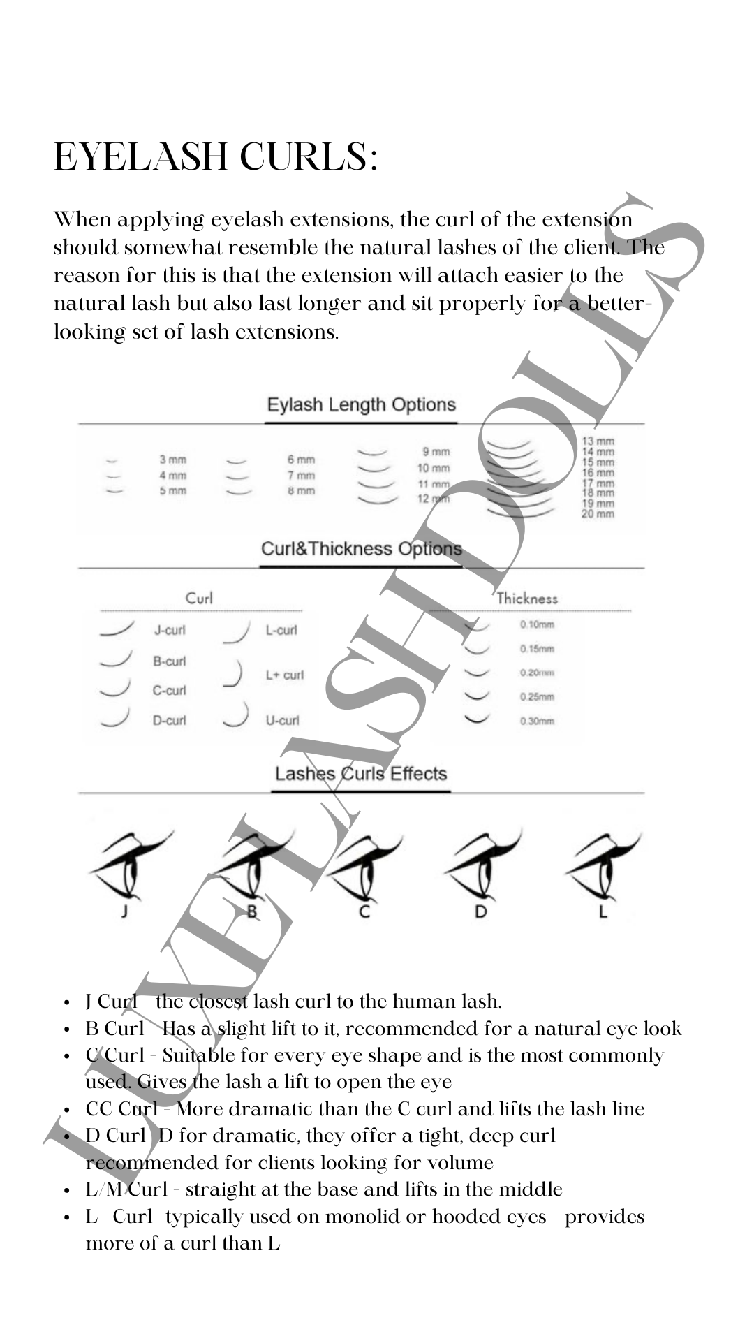 Lash Bible - Luxe Lash Dolls Training Ebook - Luxe Lash Dolls